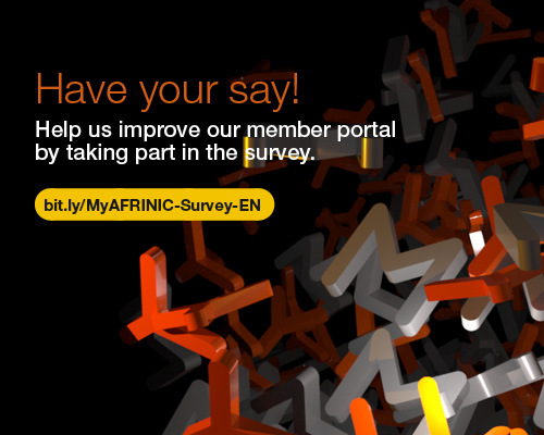 AfriNIC Survey