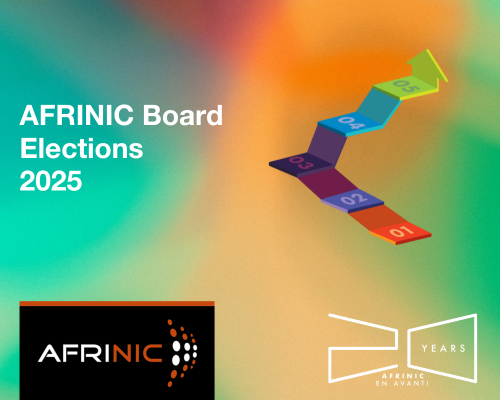 AfriNIC Survey